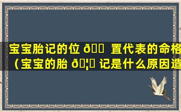 宝宝胎记的位 🐠 置代表的命格（宝宝的胎 🦆 记是什么原因造成的）